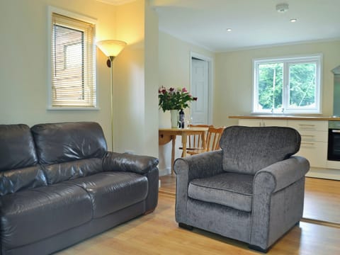 Homely open plan living space | Swallows Nest - Ty Newydd, Salem, near Llandeilo