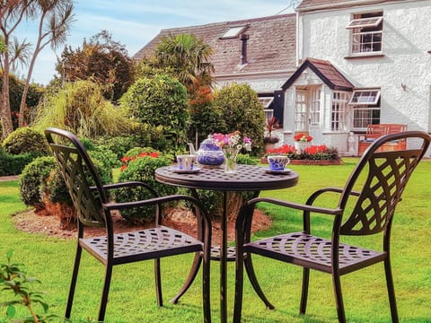 Afternoon tea in the garden | The Haven, Crantock, near Newquay