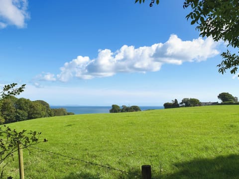 Stunning surrounding area | Alice’s Cottage, near Kilgetty