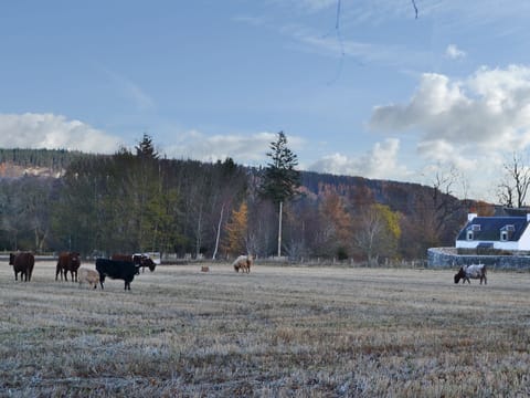 Enjoying a beautiful rural location | Glebe Cottage, Urray, near Dingwall