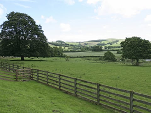 Tree house | Lochside Garden House - Lochside, Town Yetholm, near Kelso