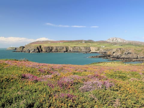 View of South Stack lighthouse and Holyhead Mountain | Fferam Gorniog, Holyhead Mountain, near Trearddur Bay