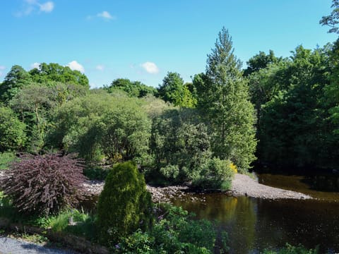 Beautiful river views | Riverside, Newton Stewart