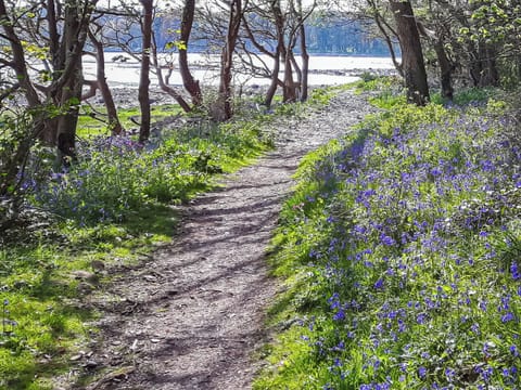 Surrounding area | Harbour Retreat, Newton Stewart