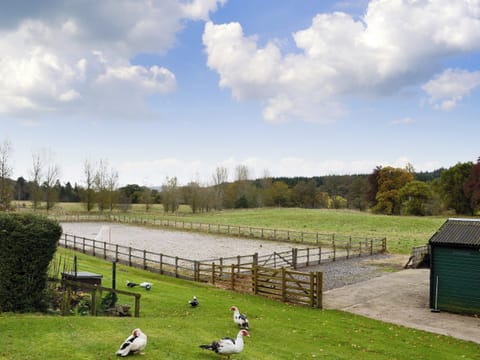 view | Inverchroskie Cottage - Inverchroskie, Enochdhu, near Pitlochry