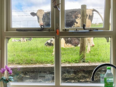 View | Spoutscroft Cottage, Austwick, near Settle