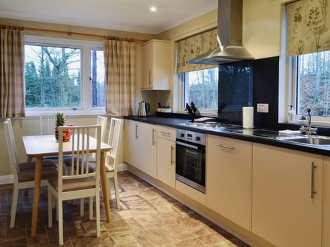 Light, kitchen/dining area | Melgund Glen Lodge, Minto, near Hawick