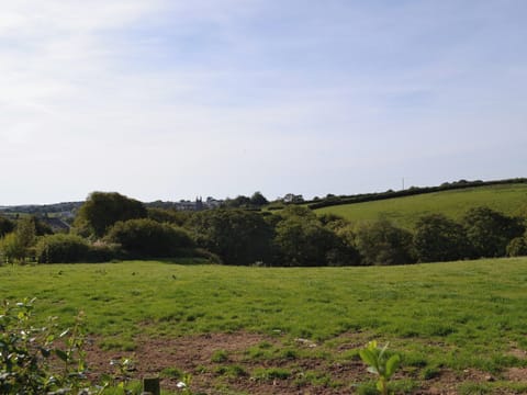 View | Trew House, Stratton, Bude
