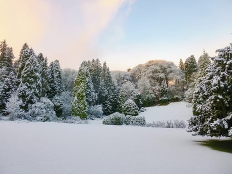 Garden and grounds in Winter | Find Me Out, Forget Me Not - Craigengillan Estate, Dalmellington, near Ayr