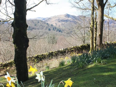 Magnificent scenery | Tarnside, Skelwith Bridge, Ambleside