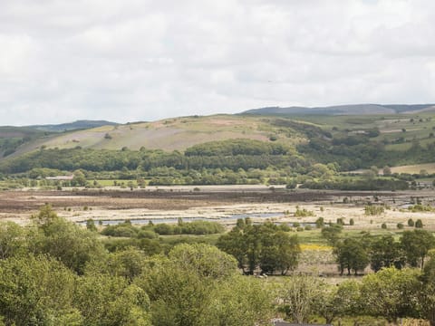 View | Yr Hen Stabl, Tregaron