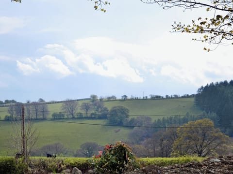 Enjoy the views of the local countryside | Bwlch Y Person Barns -Cartws - Bwlch Y Person Barns, Dihewyd, near Aberaeron