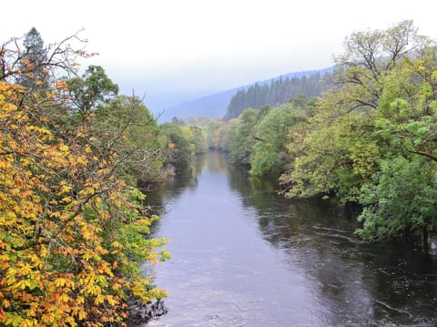 Surrounding area | Forest View, Strathyre, near Callendar