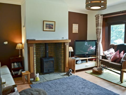 TV, fireplace, DVD player