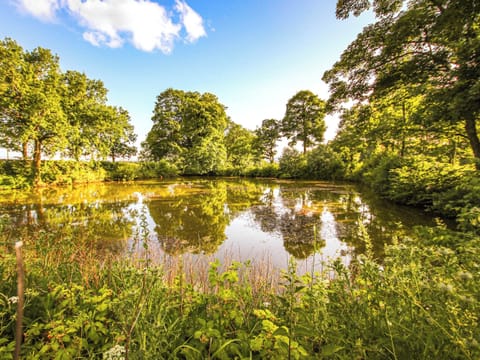 Surrounding area | The Bothy - The Wheat Shed and The Bothy, Calthwaite, near Penrith