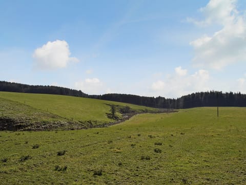View | Blaeberry Cottage , Nr. Lockerbie
