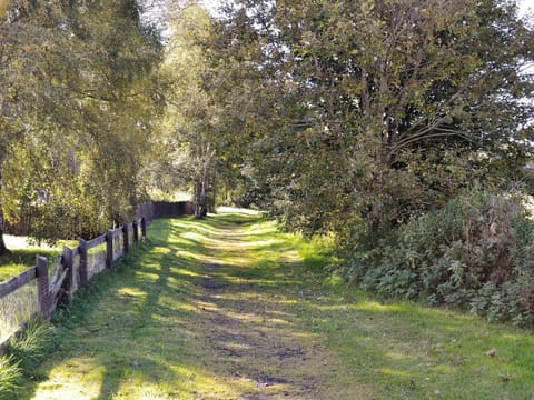 Surrounding area | The Old Granary , Cragganmore near Ballindalloch