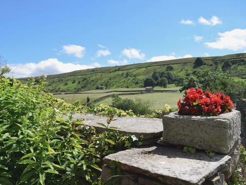 View of the surround area from the garden | Harriet’s Cottage - Muker Cottages, Muker near Reeth