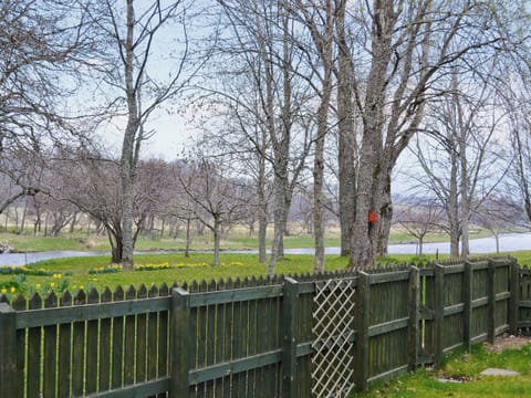 View | Haugh House, Aberlour