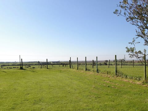 View | Iona Cottage, Ruthwell near Annan