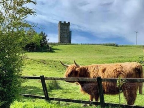 Garden and grounds | Old Barn Farmhouse - Old Barn Farm, Uplawmoor, near Paisley