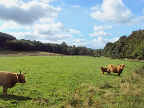 Surrounding area | Whitecroft - Rose Cottage, Dalbeattie