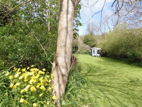 Beautiful gardens, laid to lawn with many good trees and shrubs. | Grain Store 2, Grain Store 1 - Little Polgrain Barns, Caerhays, near Tregony