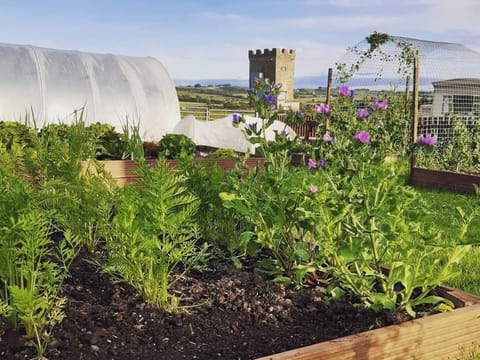 Garden and grounds | Old Barn Farm Cottage - Old Barn Farm, Uplawmoor, near Paisley