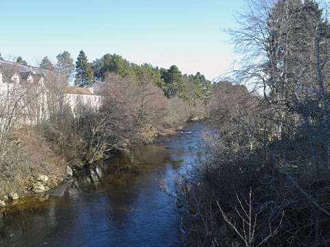 Dulnain River | Tall Pines, Carrbridge