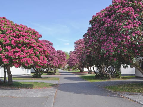 Rosecraddoc Holiday Village | Rosecraddoc Holiday Village - Tresco, Liskeard