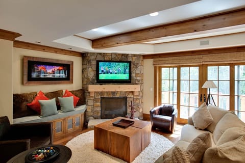 TV, fireplace, books