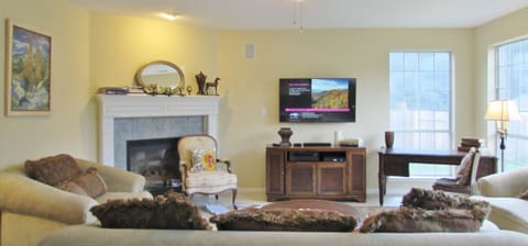 Smart TV, fireplace, video games, DVD player