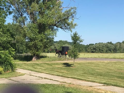 Amish will ride by each day