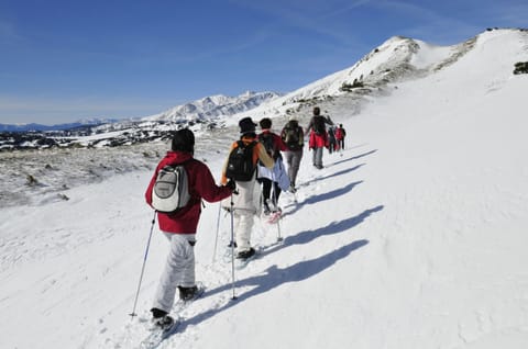 Snow and ski sports