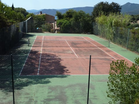 Sport court