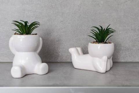 Two decorative potted plants sitting on a white shelf, adding a minimalist and natural accent to the space.