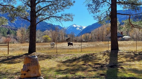 From the back yard of the Cabin looking down the valley, at Mount Abram