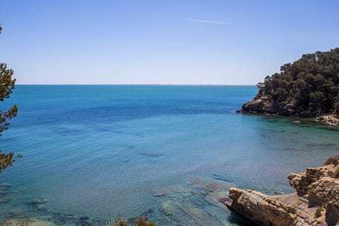 Beach nearby, sun loungers