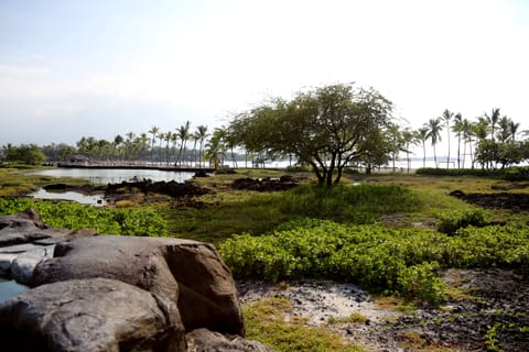 Direct beach access to A’Bay