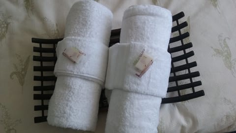 Bathroom amenities | Shower, hair dryer, towels, soap