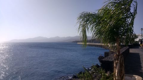 Beach nearby, sun loungers, beach towels