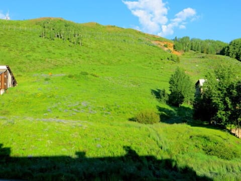 View from the balcony in summer.