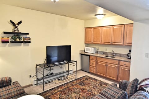 Second Living Room Area - The second living room area is downstairs. It has a bar, comfortable sofas, and a TV.