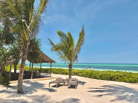 On the beach, sun loungers, beach towels