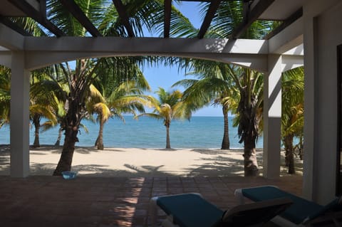 On the beach, sun loungers, beach towels