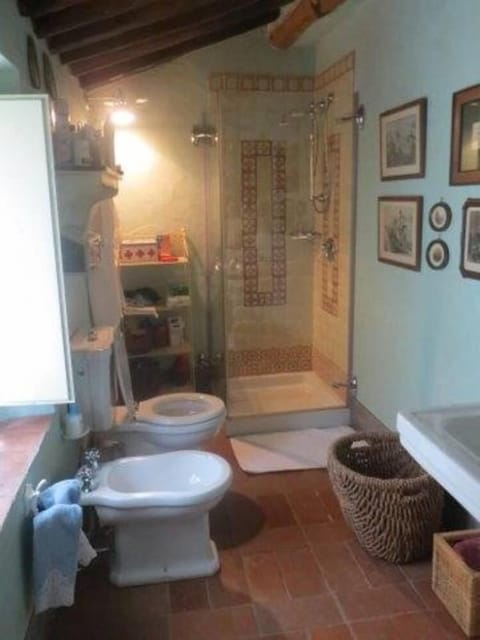 Combined shower/tub, hair dryer, bidet