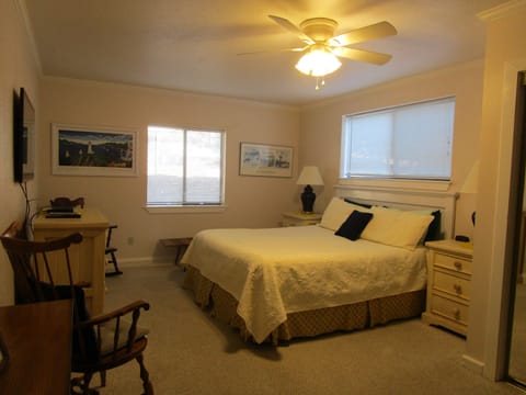 Downstairs Master Bedroom