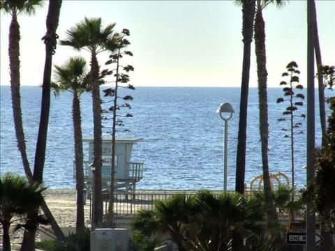 Beach nearby, sun loungers, beach towels