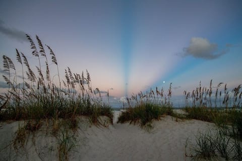 On the beach