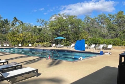 Outdoor pool, a lap pool